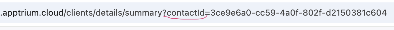 query param